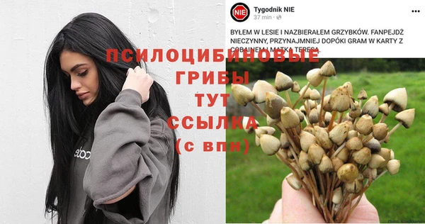 ПСИЛОЦИБИНОВЫЕ ГРИБЫ Аша