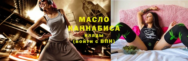 дмт Надым